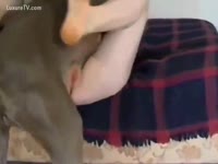 Animal XXX - Humped by her dog